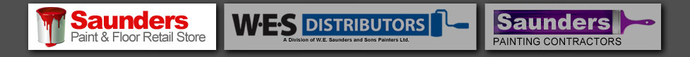 Saunder and Sons Painters
